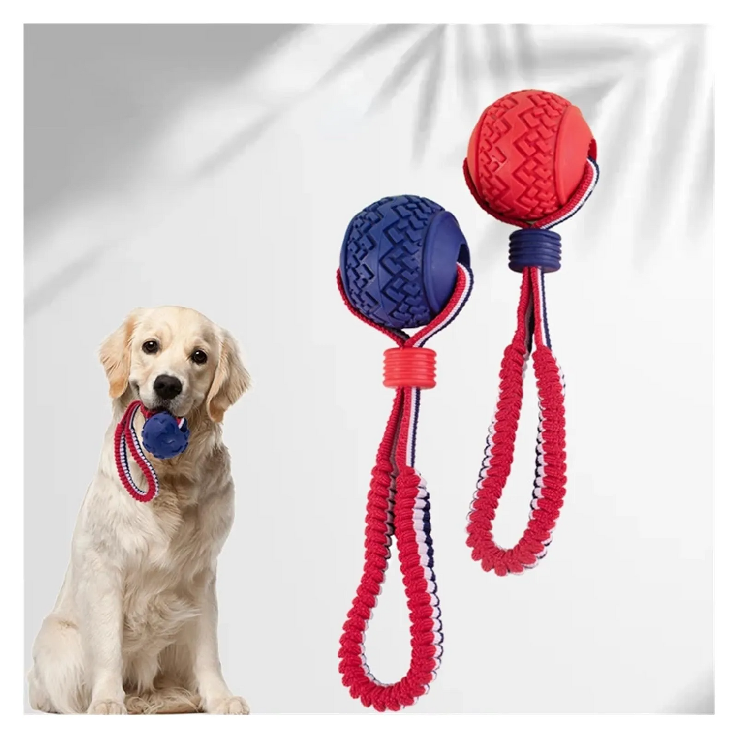 Chewing Ball Collection